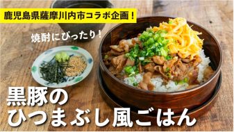 鹿児島県薩摩川内市